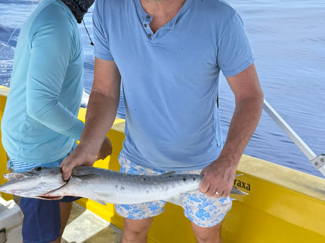 Island Angler-Island Harbour必去景点