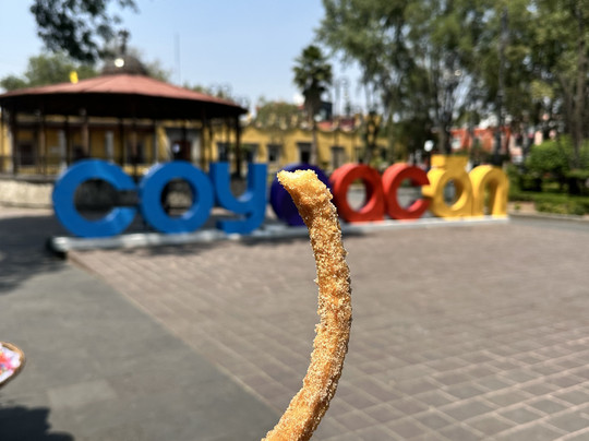 Friends Guides-墨西哥城必去景点