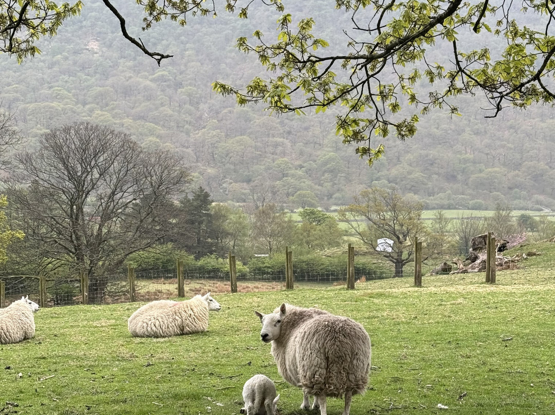 Cragg House Farm-Buttermere必去景点