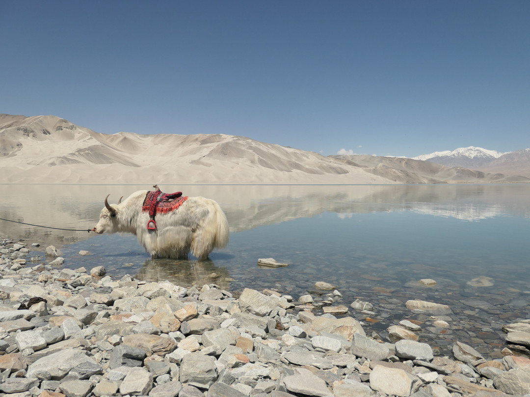 Kashgar Offbeat Tours景点图片