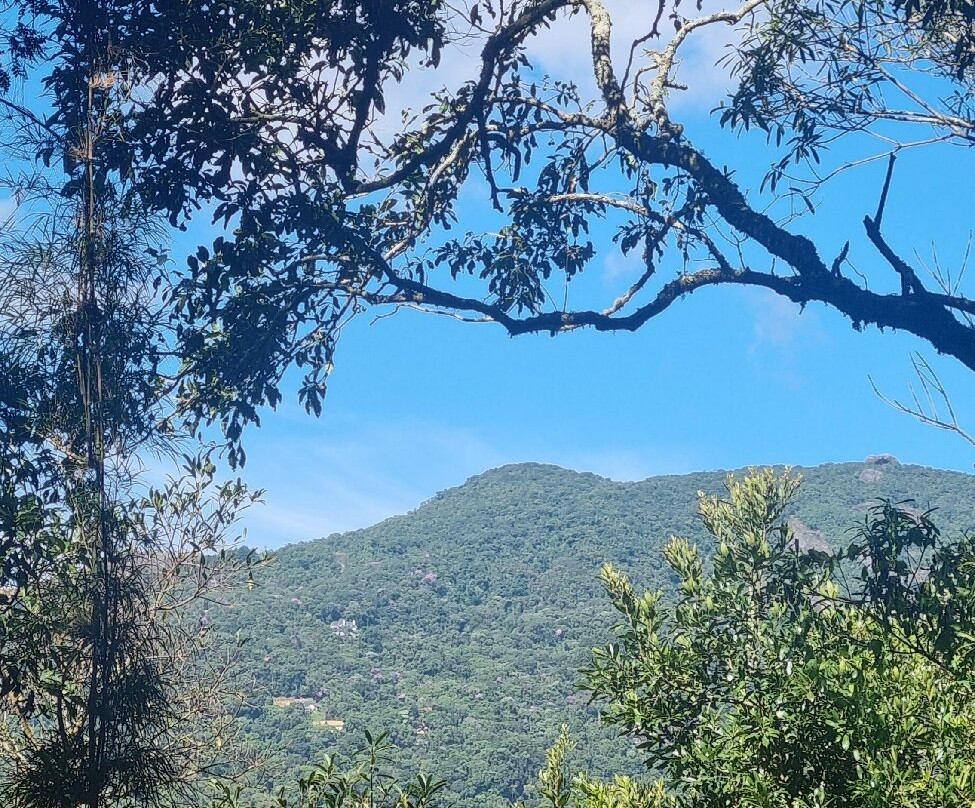 Trilha do Pinheiro Velho景点图片
