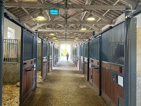 A Escola Portuguesa de Arte Equestre-里斯本必去景点