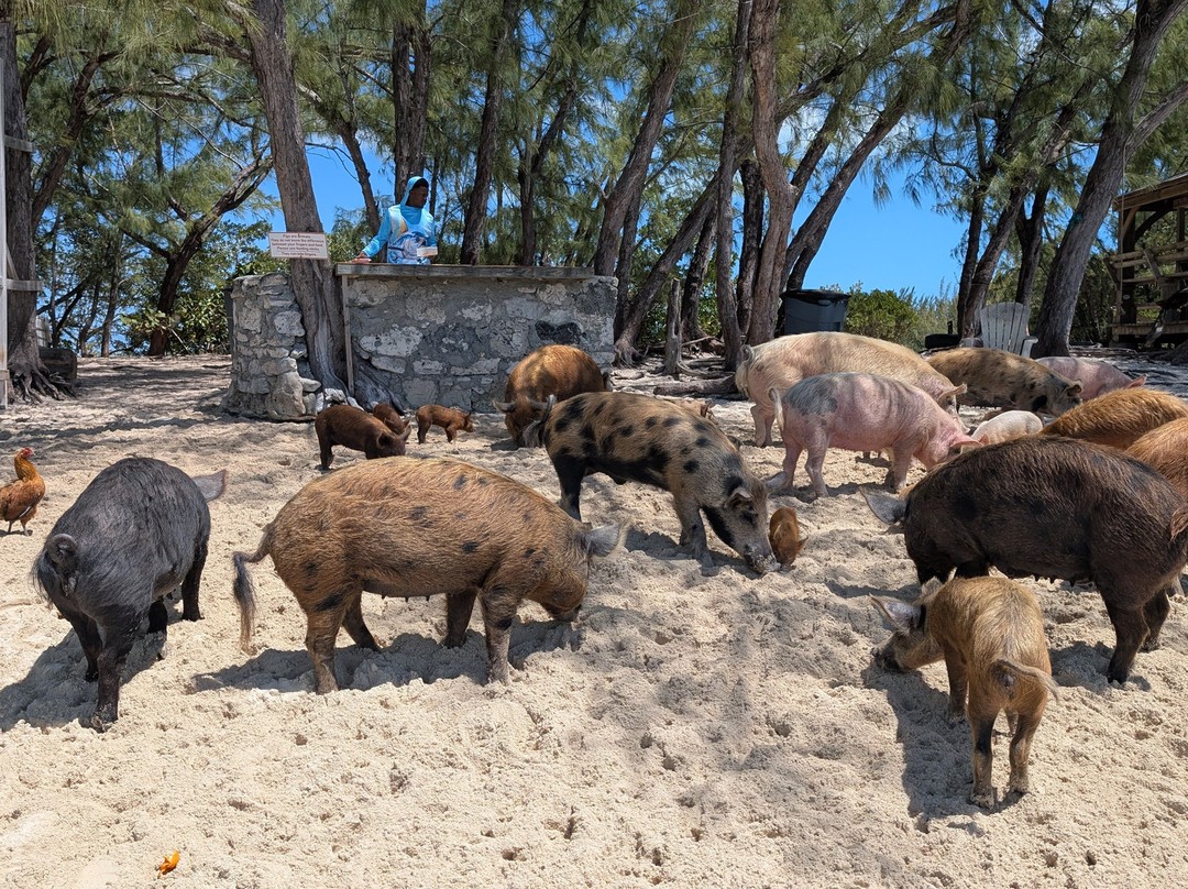Eleuthera Outdoor Center景点图片