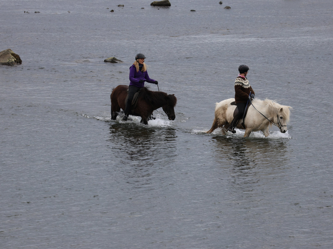 Dalahestar-布扎达吕尔必去景点