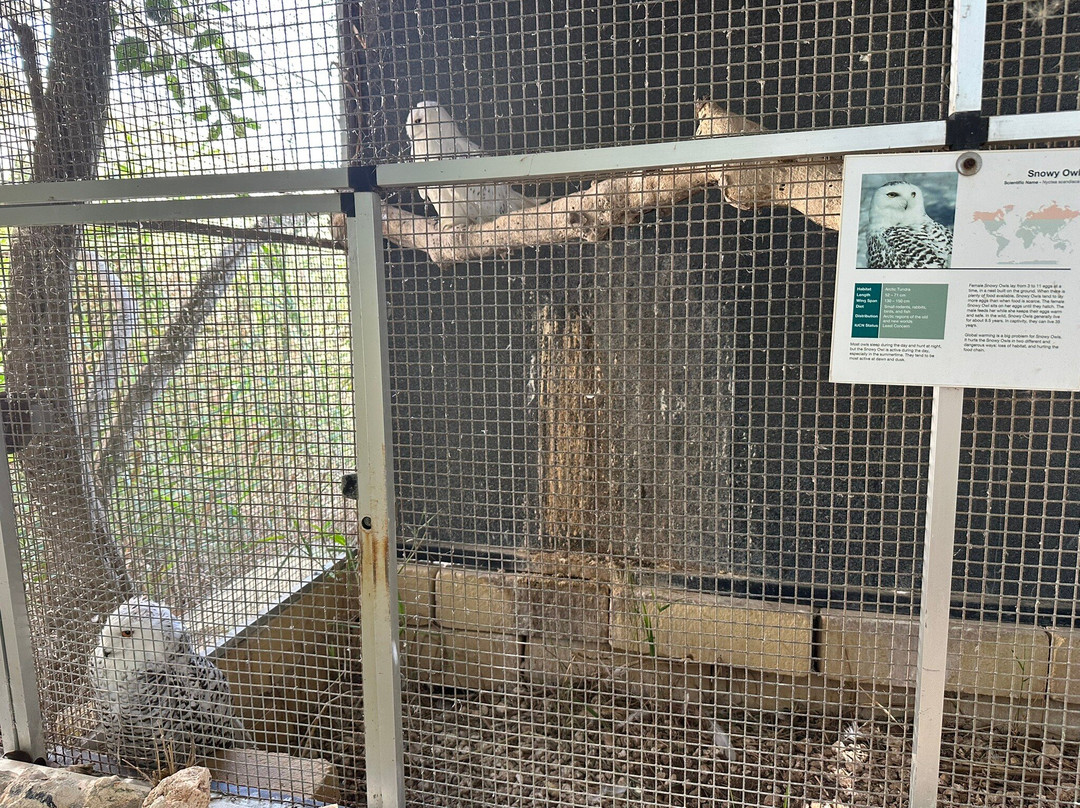 Birdpark Malta-Salina必去景点