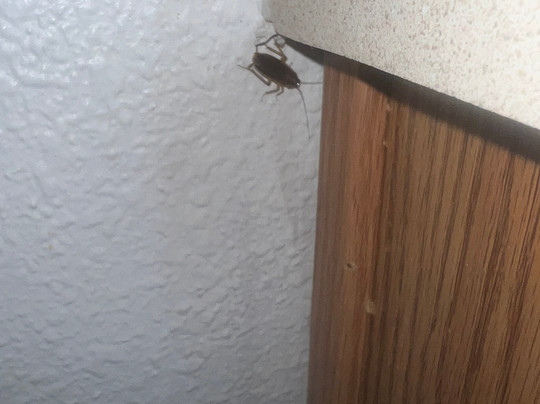 Extended Stay America Select Suites - Louisville - South主图