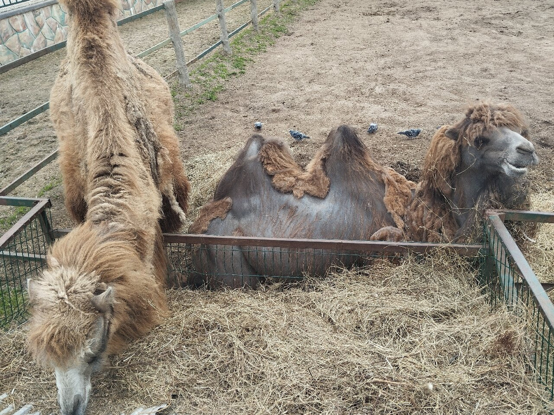 Eco Park Biosphere-卡卢加必去景点