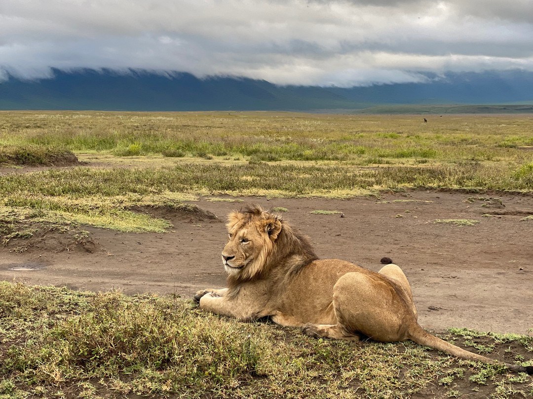 Tanzania Roadside Expeditions景点图片