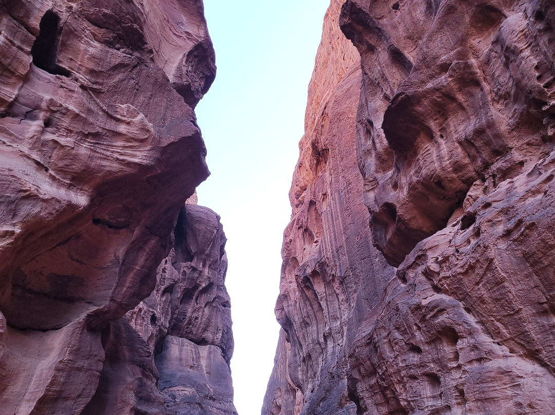 Bedouin Nights Camp景点图片