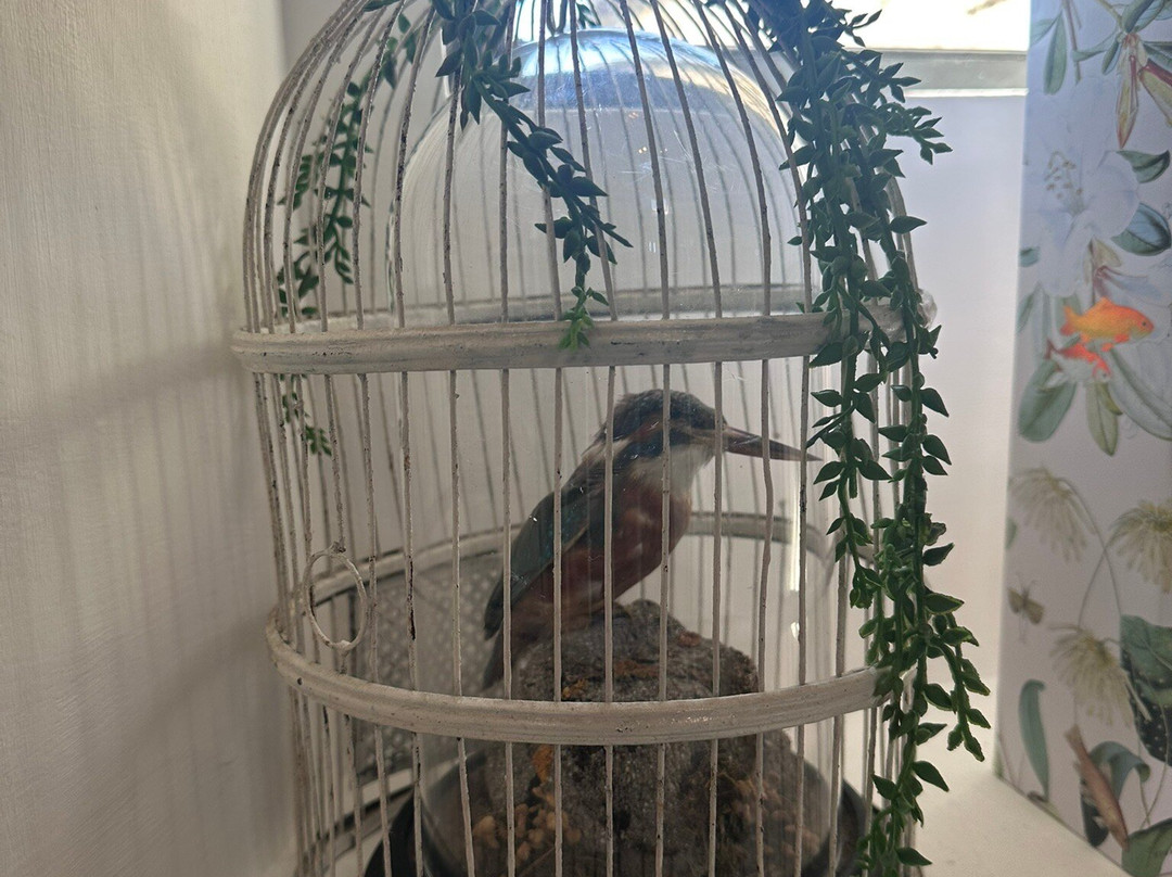 Lords Antiques & Salvage-Ingleton必去景点