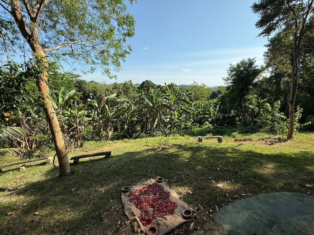 Ashram Sri Lanka-唐卡拉必去景点