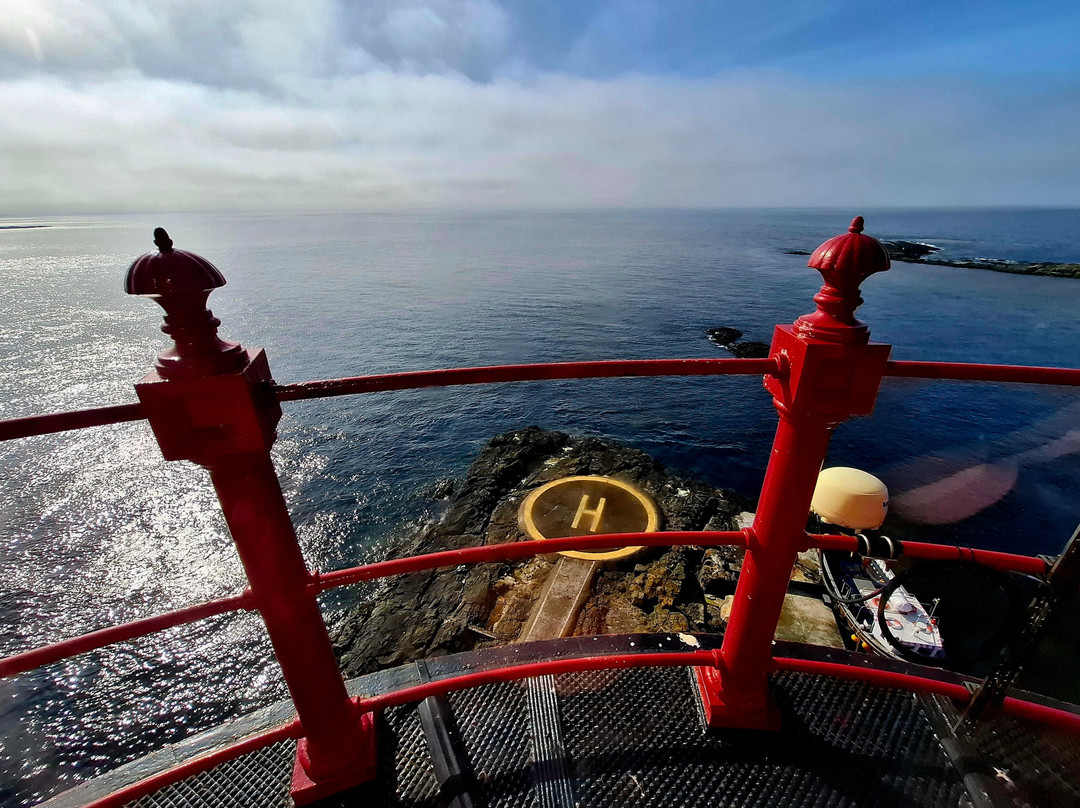 Golden Gate Farne Islands Boat Trips-Seahouses必去景点