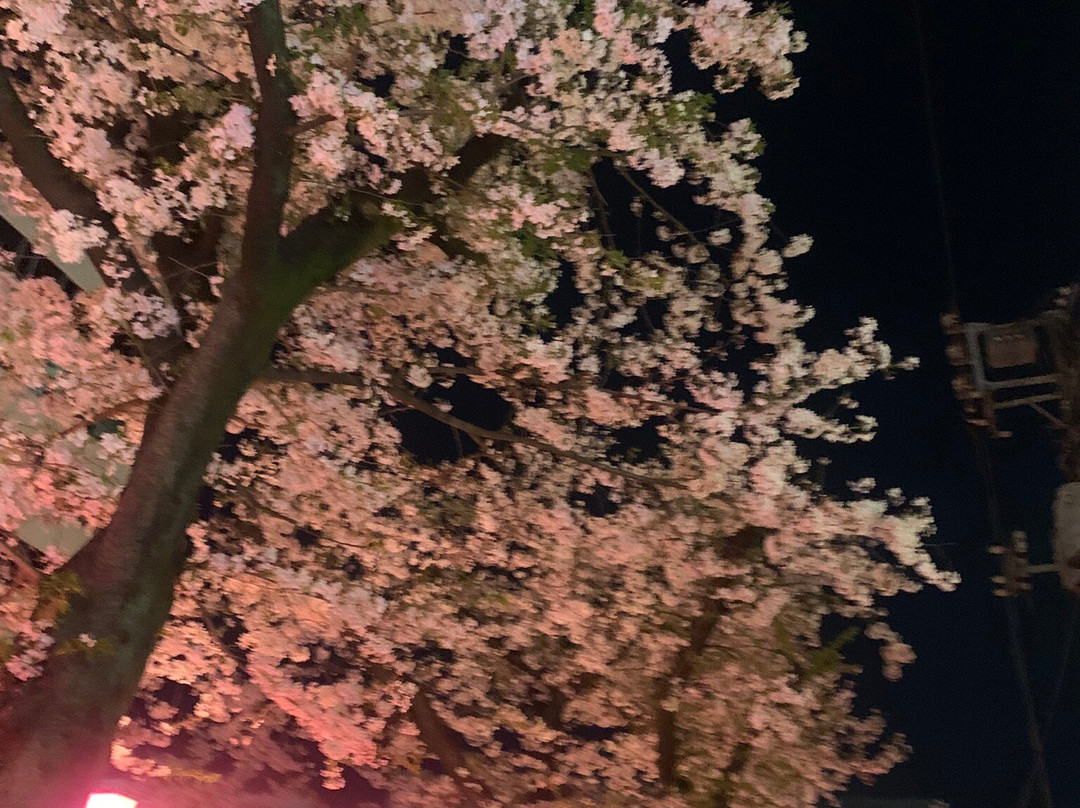 Nakameguro Park-Nakameguro必去景点