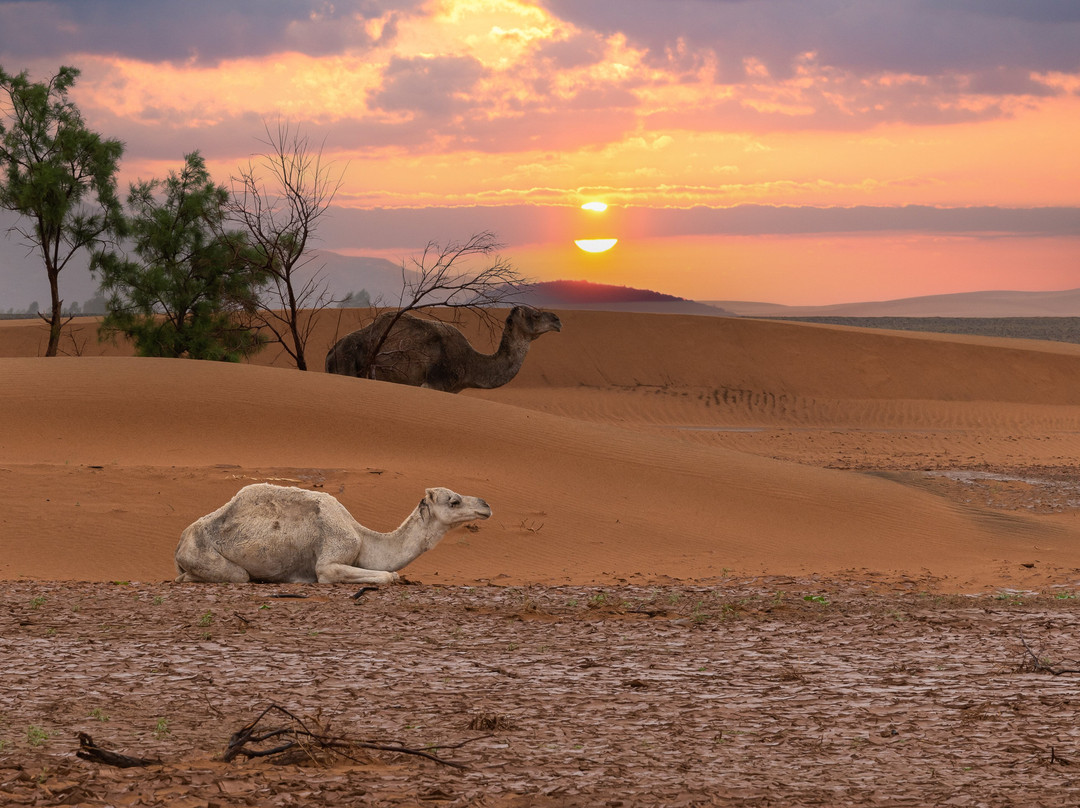 Biea Marruecos Viajes-Tafraoute Sidi Ali必去景点