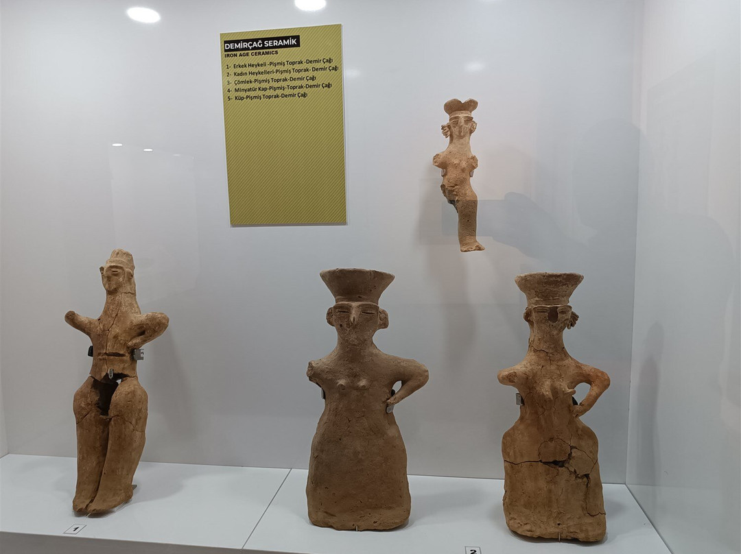 Mus Museum景点图片