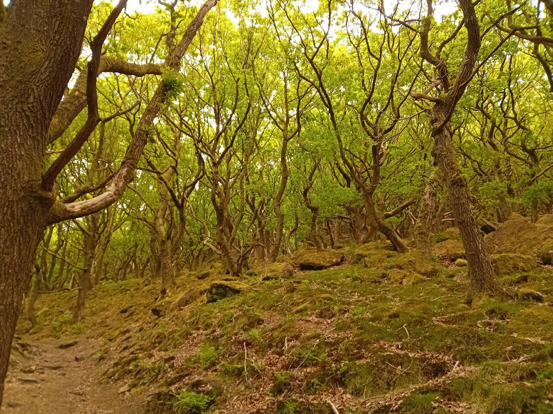 Bamford Edge景点图片