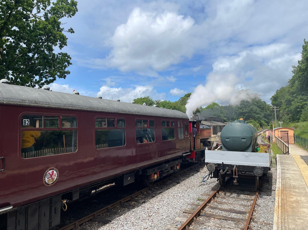 Plym Valley Railway-普利茅斯必去景点