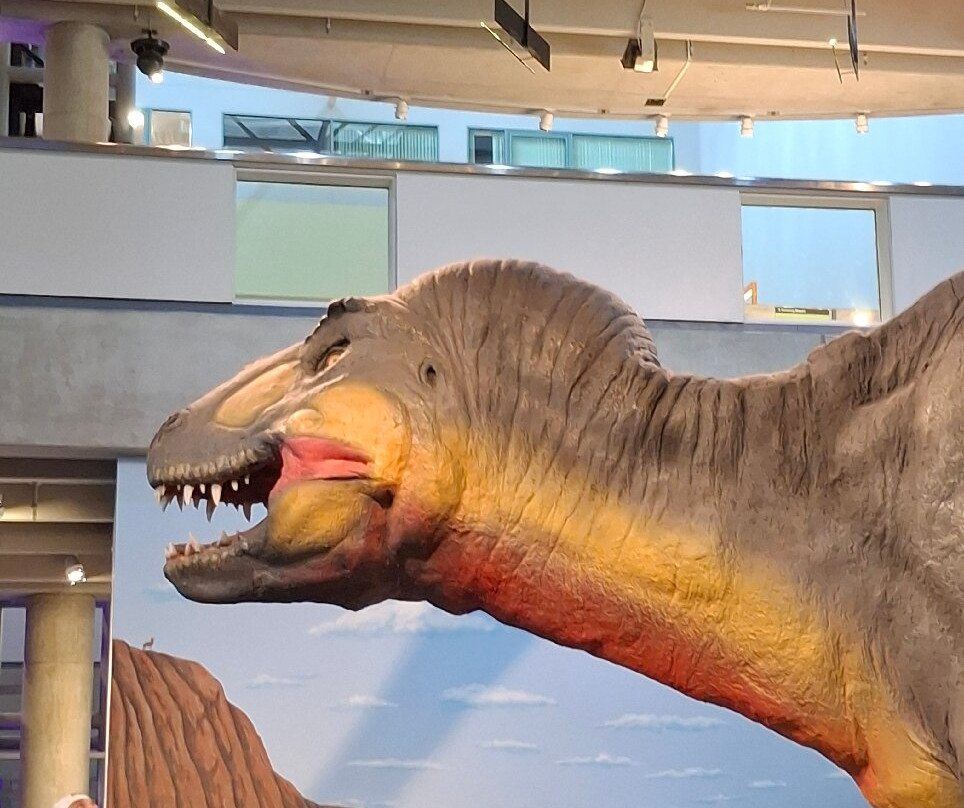 Saint Louis Science Center-圣路易斯必去景点