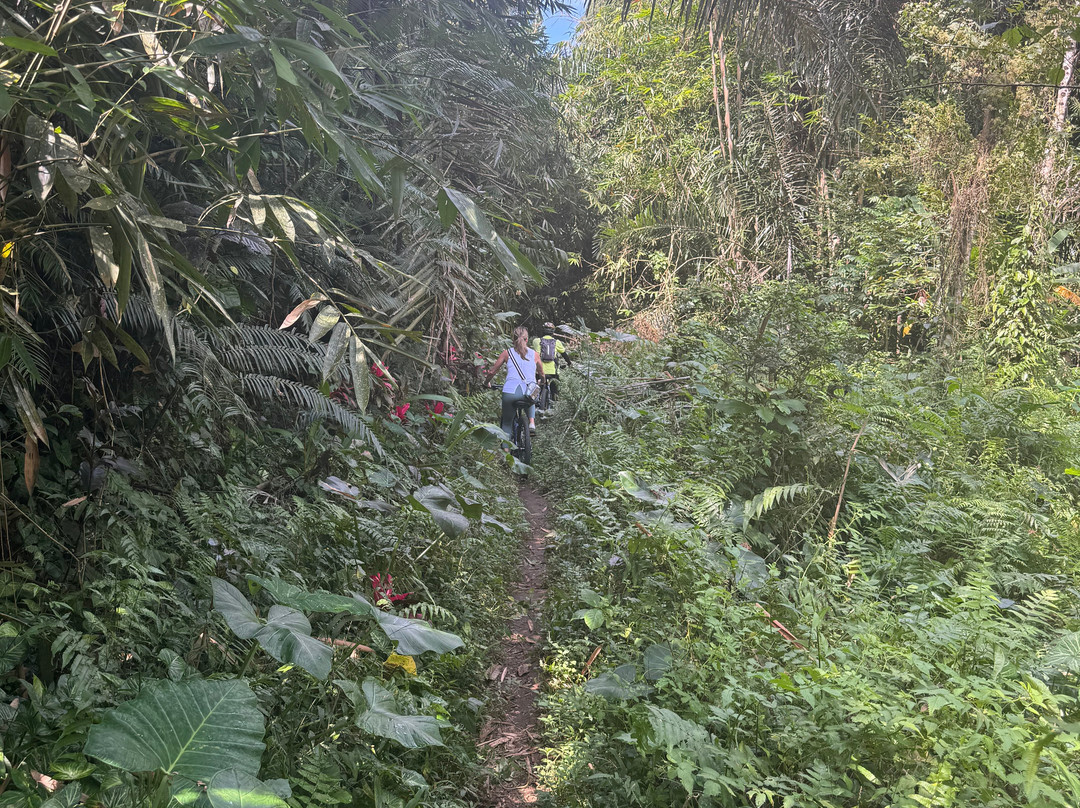Bali Hai Adventure Tours景点图片