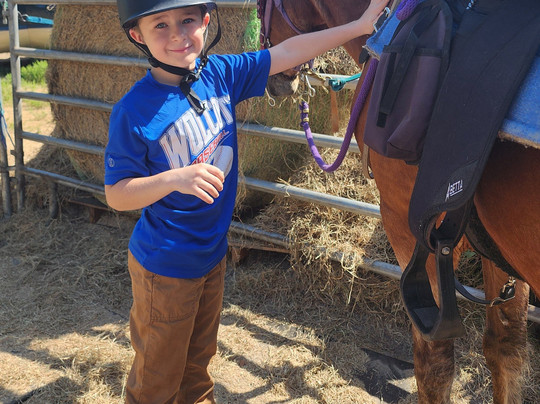 Mustang Moon Equine Solutions-奥卡拉必去景点