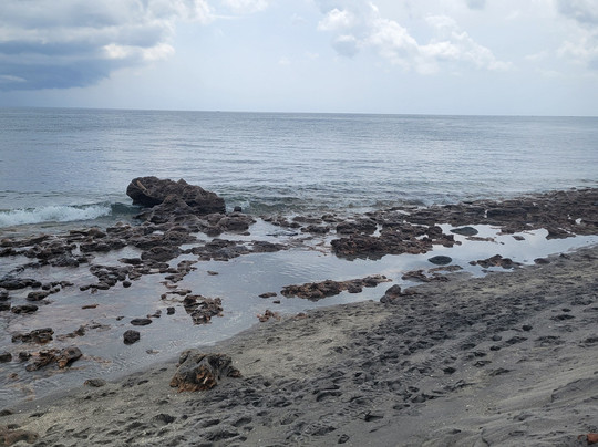 Coral Cove Park-Tequesta必去景点