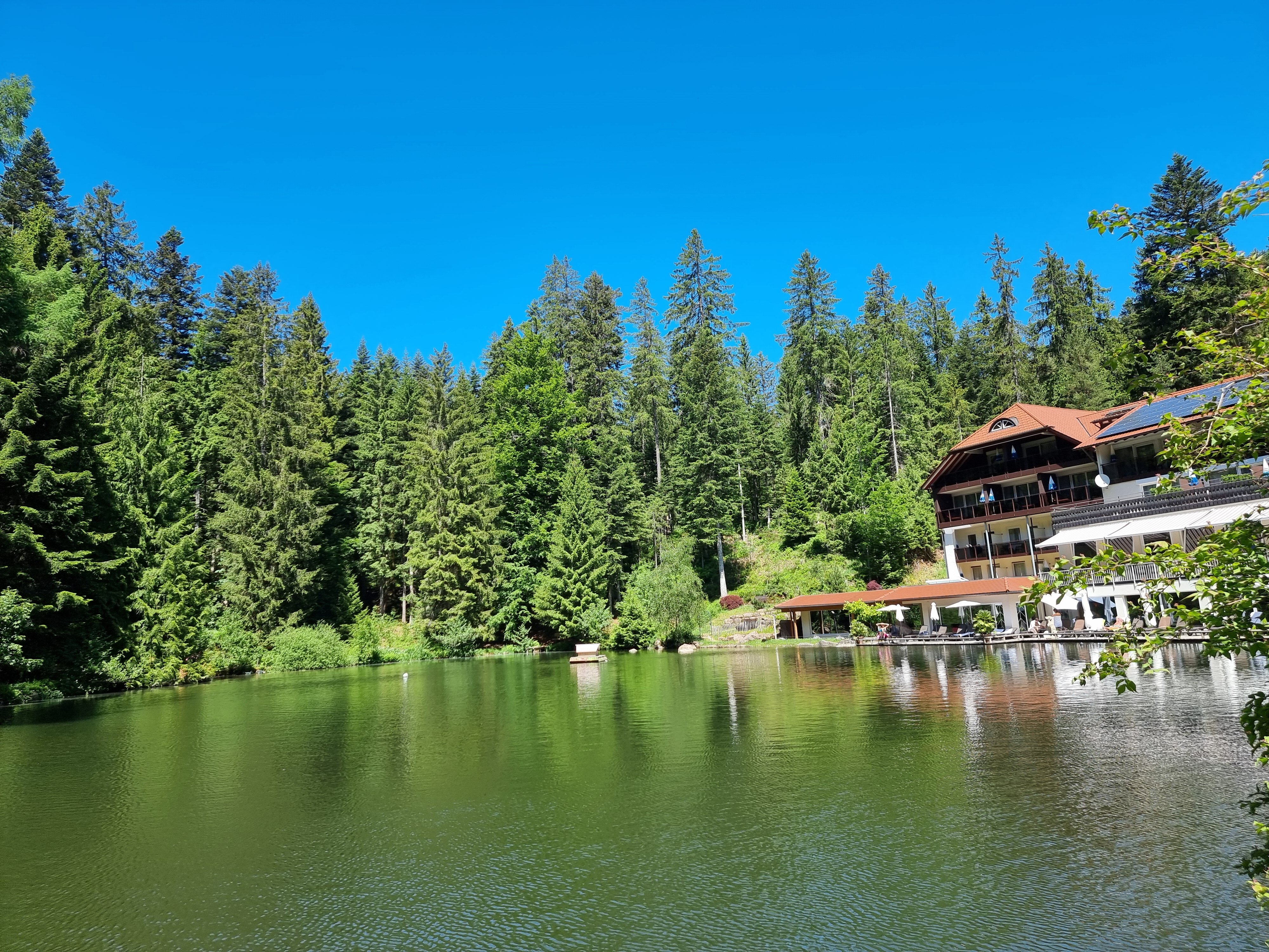 Hotel Langenwaldsee-官方