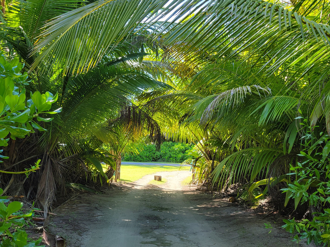 The Breakers Cocos主图