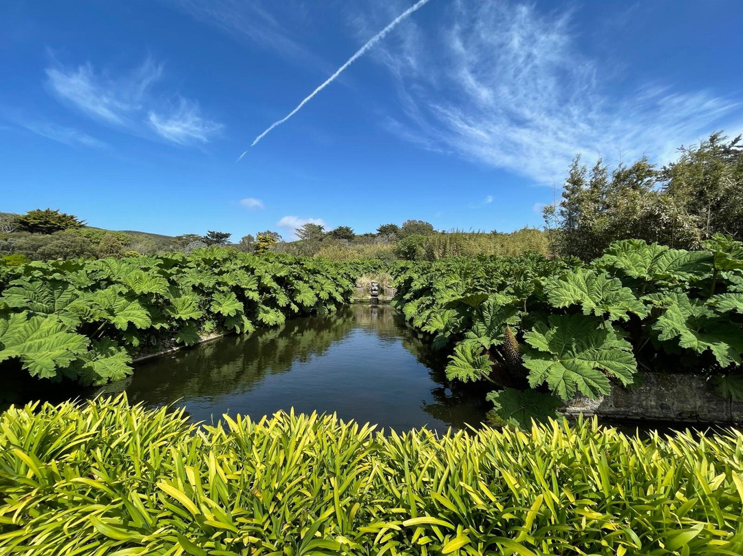 Jardin botanique de Vauville-Vauville必去景点