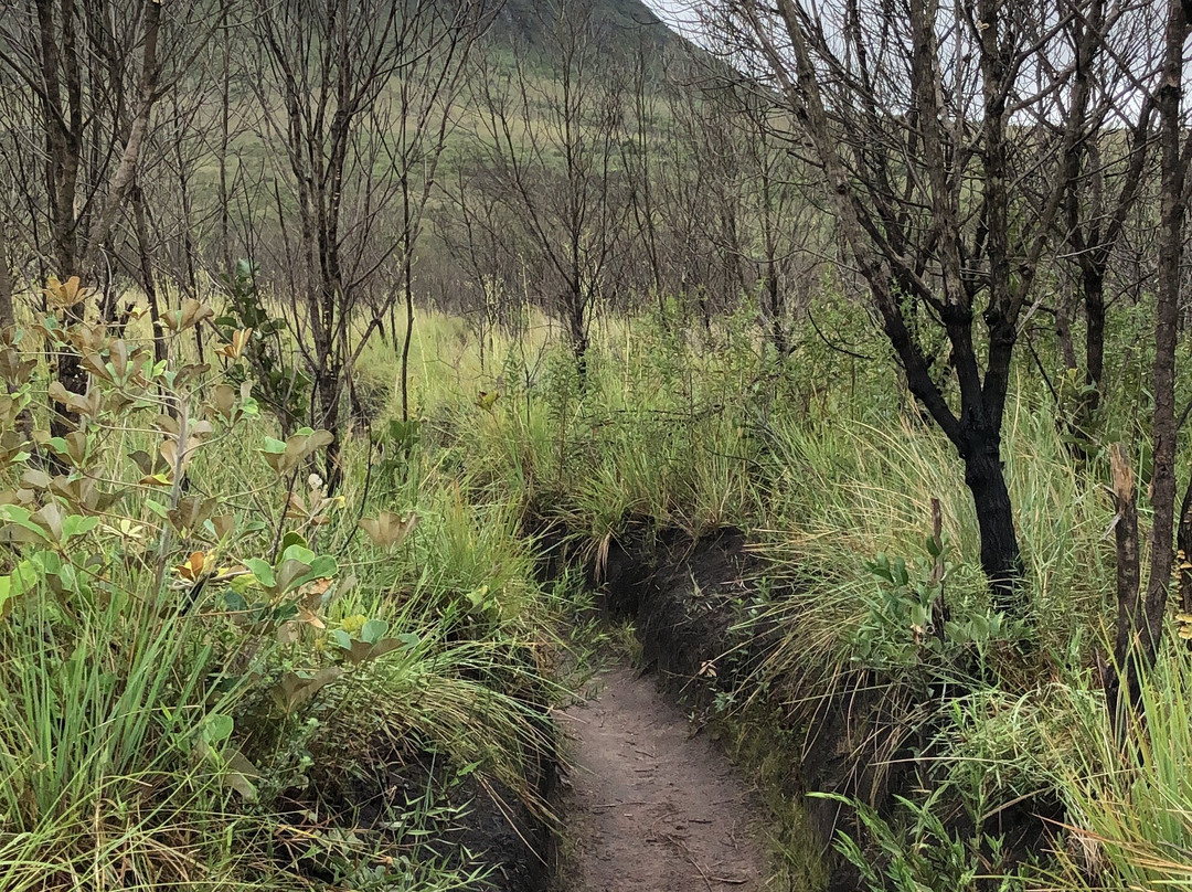 Aguas Claras Trail-Vale do Capao必去景点