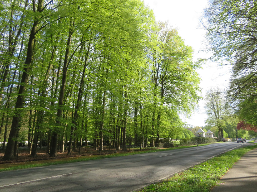 Reichswald Forest War Cemetery-克莱韦县必去景点