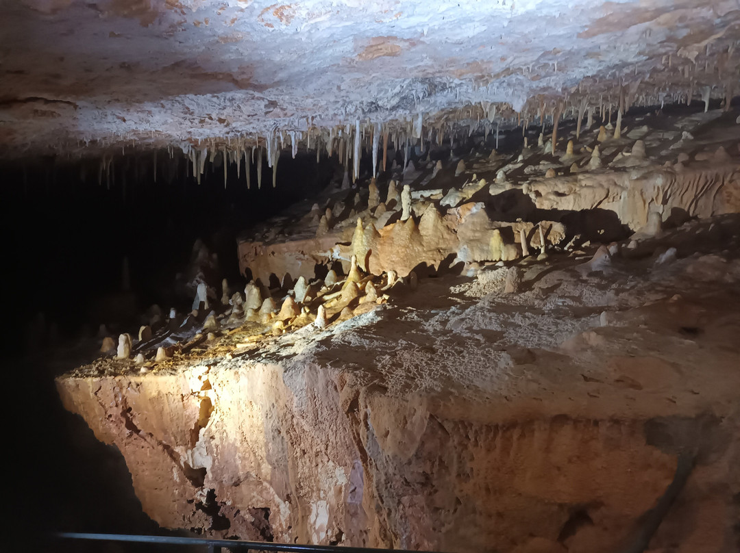 Aven Grotte Forestière-Orgnac-l'Aven必去景点