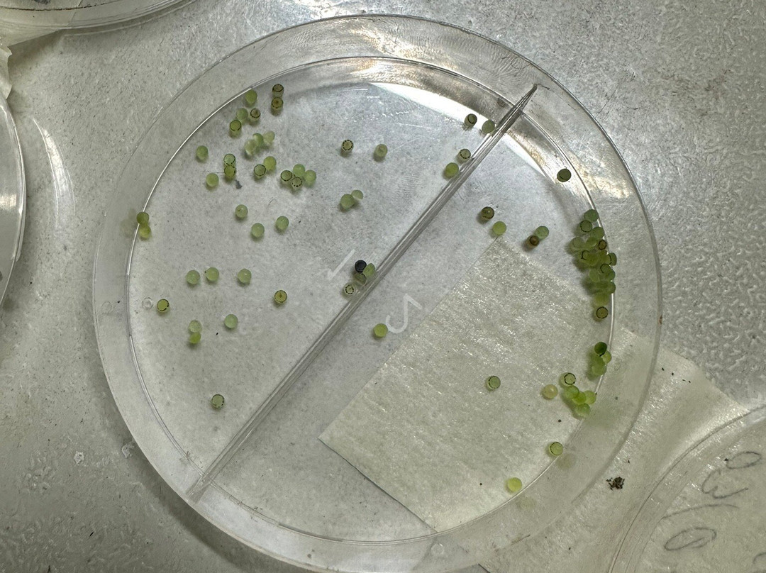 Arenal Oasis Wildlife Refuge-福德圣卡洛斯必去景点