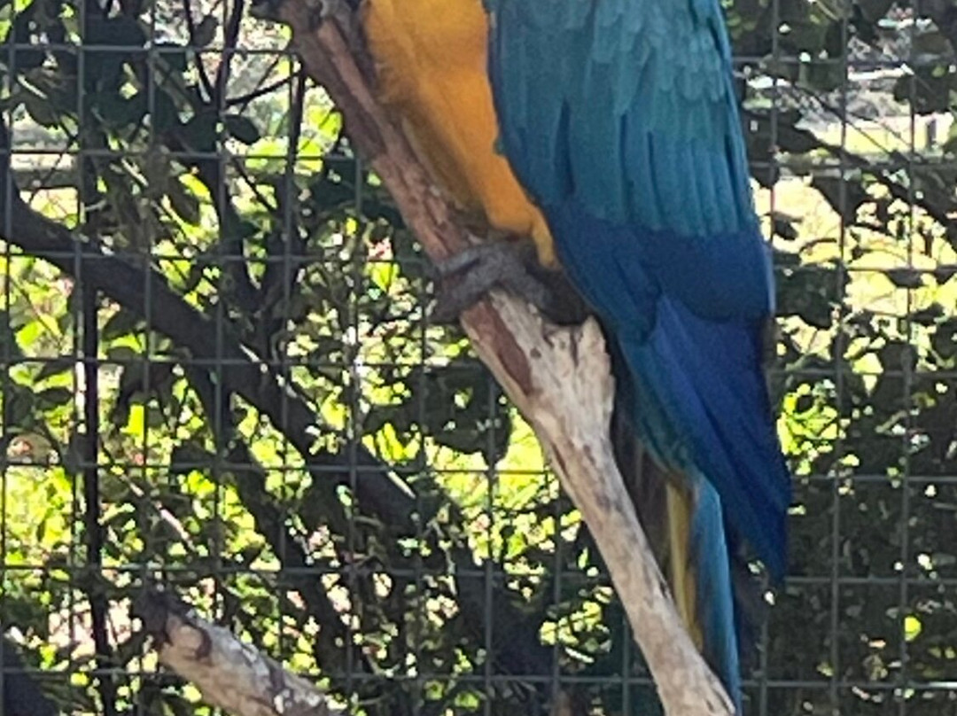 Darling Downs Zoo景点图片