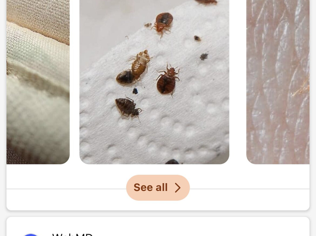 La Quinta Inn & Suites by Wyndham Cincinnati Sharonville主图