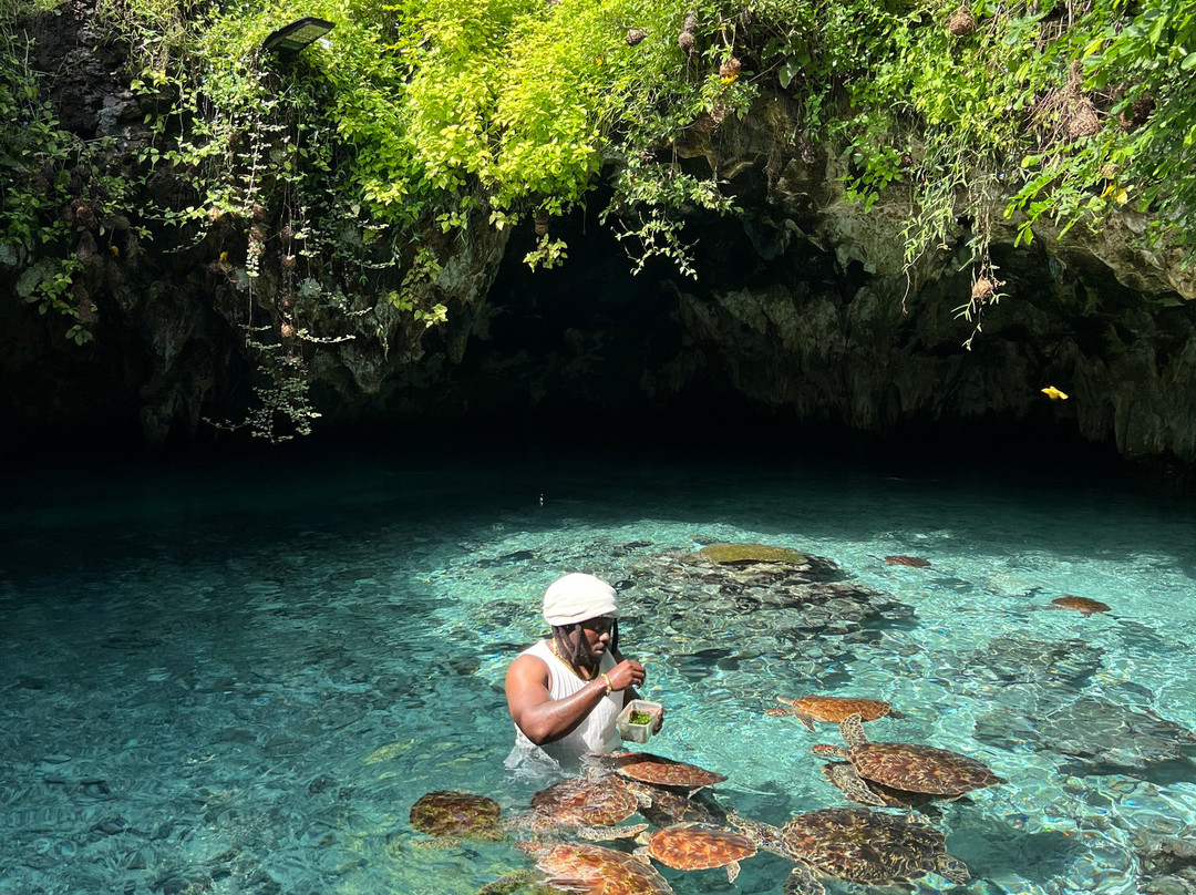 Young Tours &  Safaris Zanzibar-桑给巴尔市必去景点