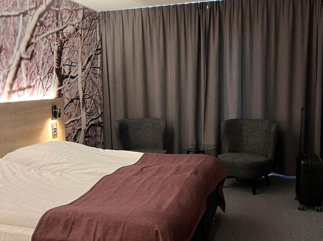 Comfort Hotel Umea City主图