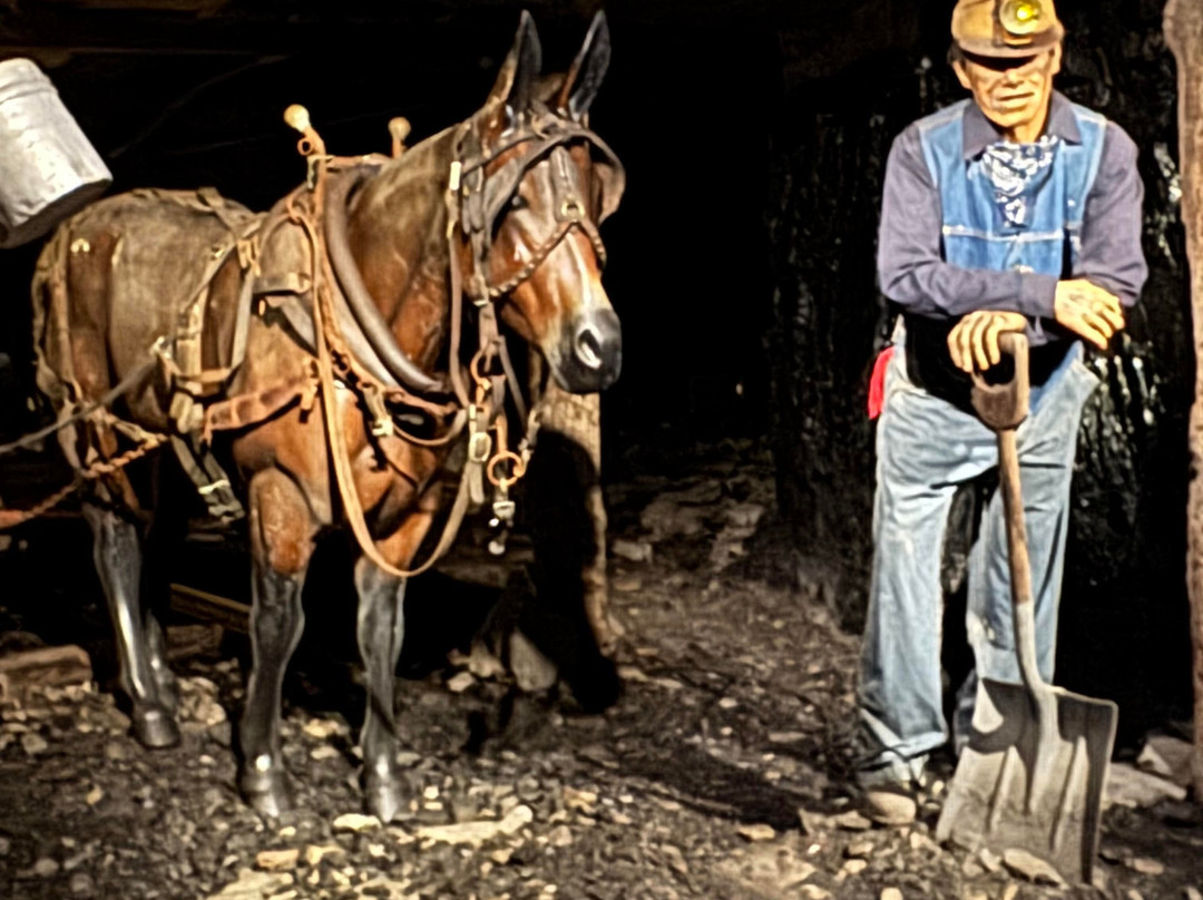 Portal 31-Lynch必去景点