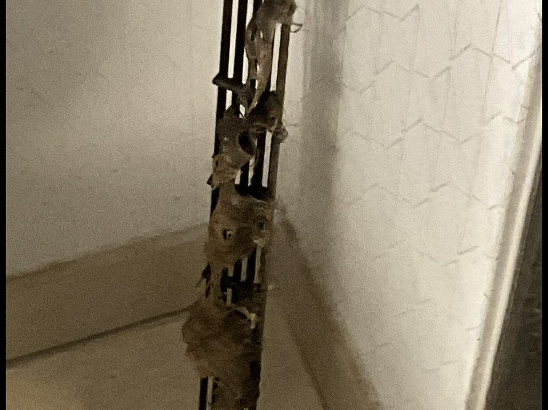 匹兹堡国际机场凯悦酒店主图