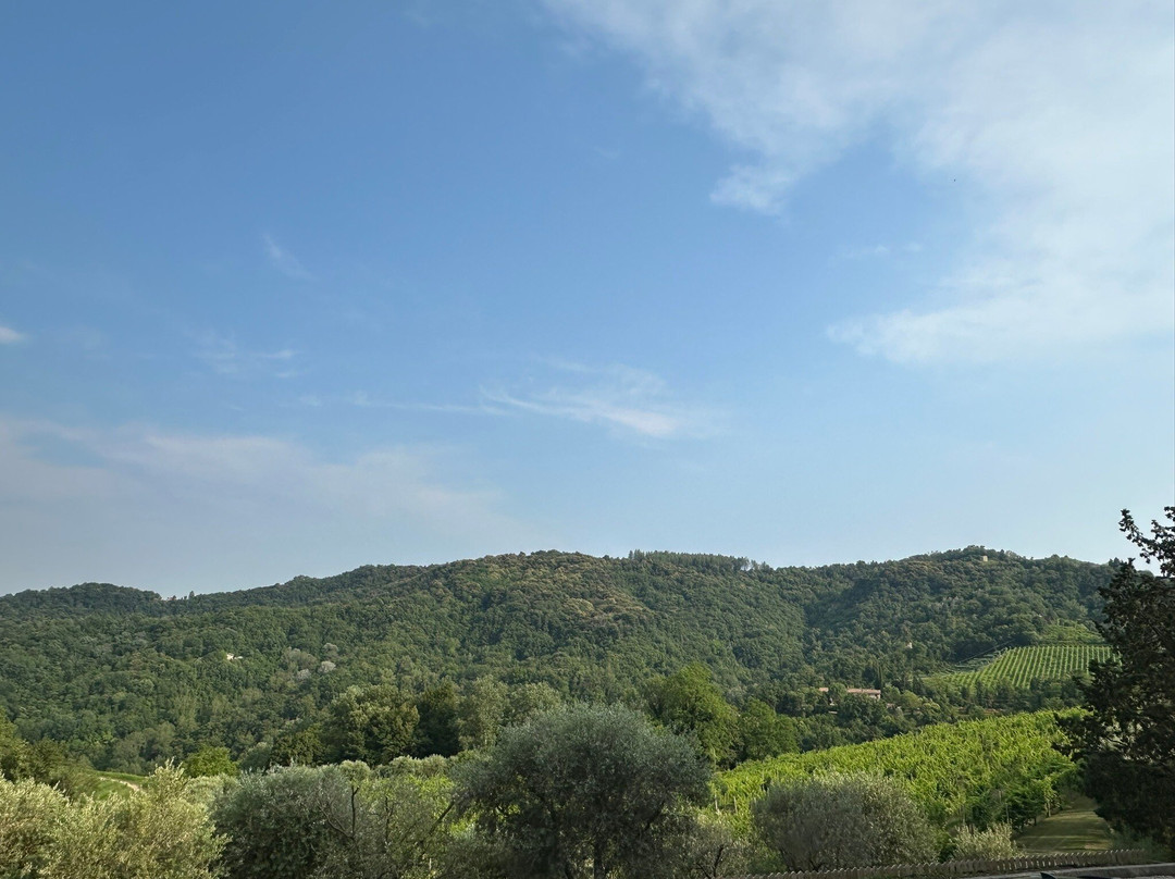 Ville d'Arfanta-Arfanta必去景点