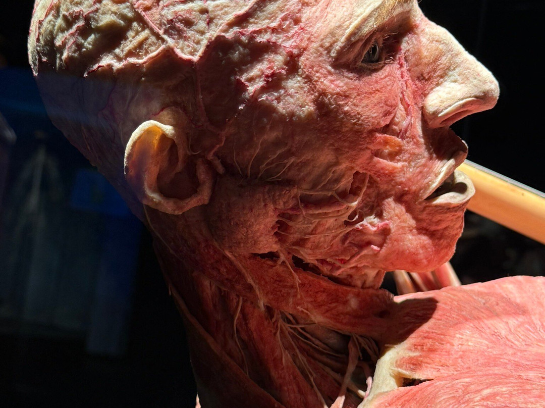 富兰克林研究院科学博物馆-费城必去景点