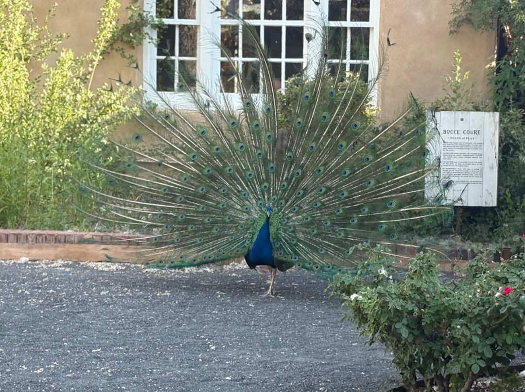 Los Poblanos Historic Inn & Organic Farm主图