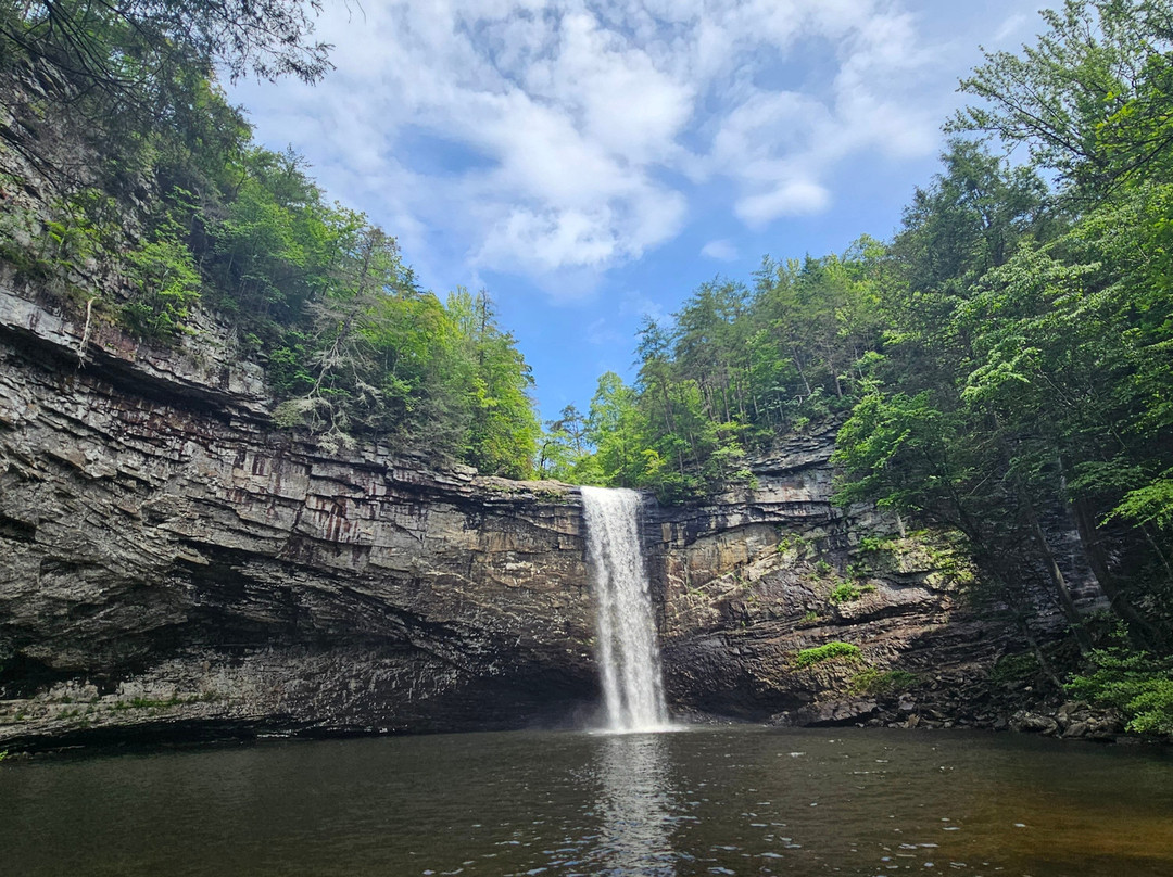 Experience Chattanooga Guided Hiking Tours-查塔努加必去景点