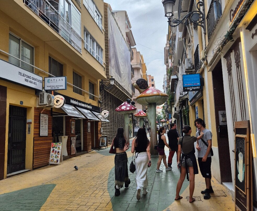 Calle de Las Setas-阿利坎特省必去景点