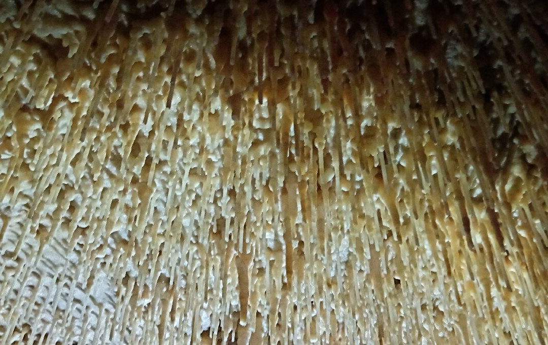Grottes de Cougnac-Payrignac必去景点