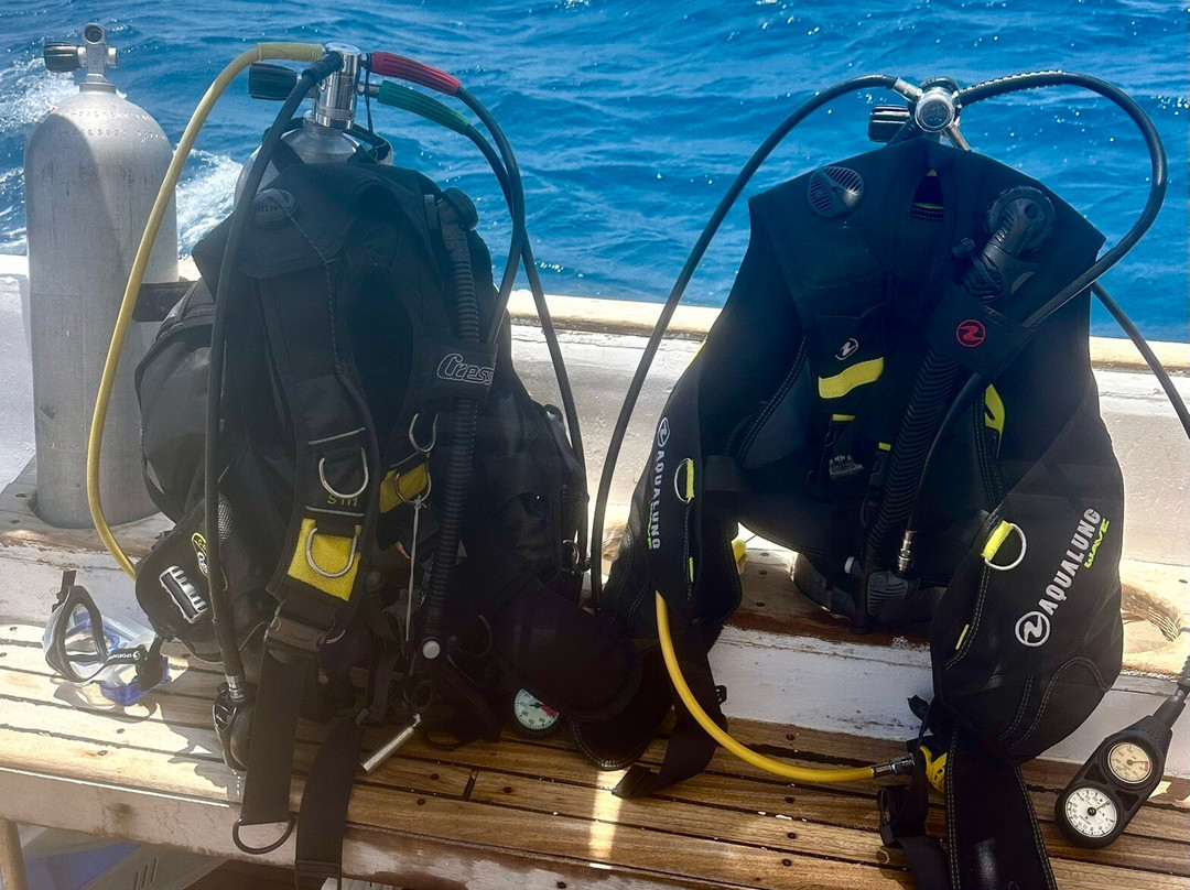 La Perla Dive Club-Sahl Hasheesh必去景点