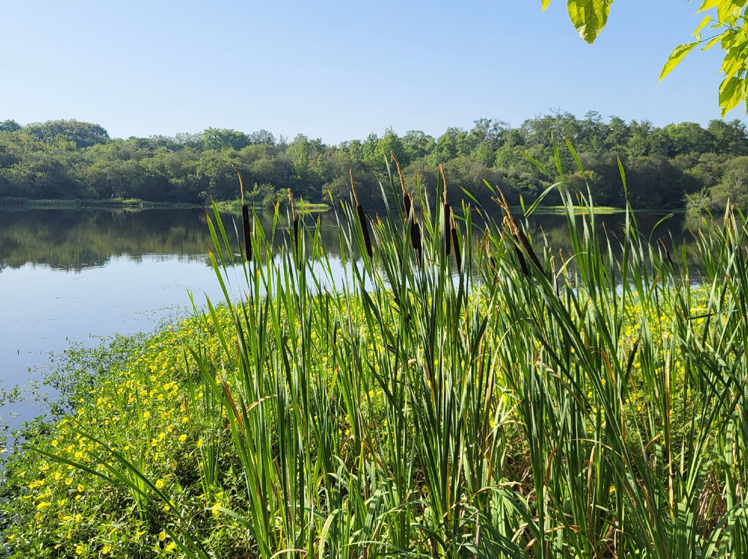 Promenade Fleurie-Mimizan必去景点