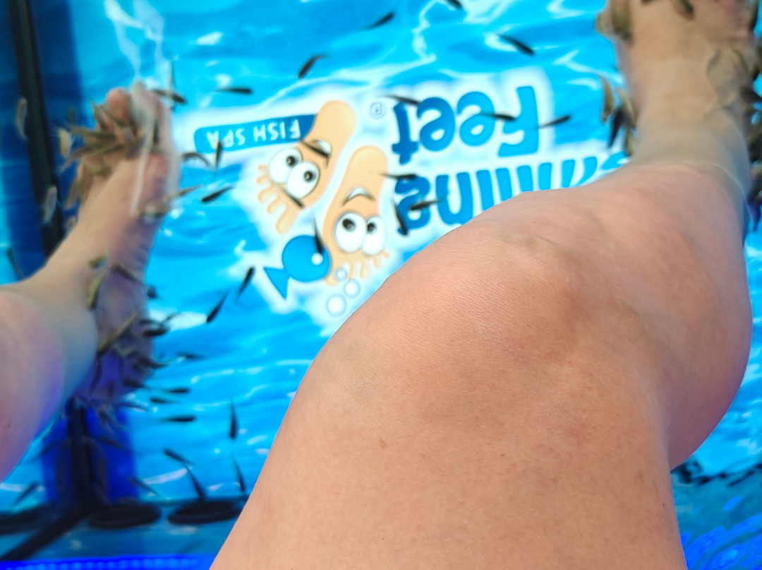 Smiling Feet Fish Spa-帕格拉必去景点