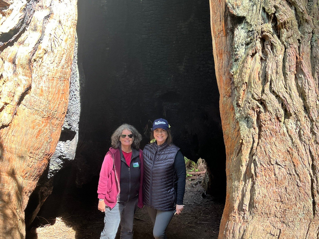 Redwood Adventures-Orick必去景点