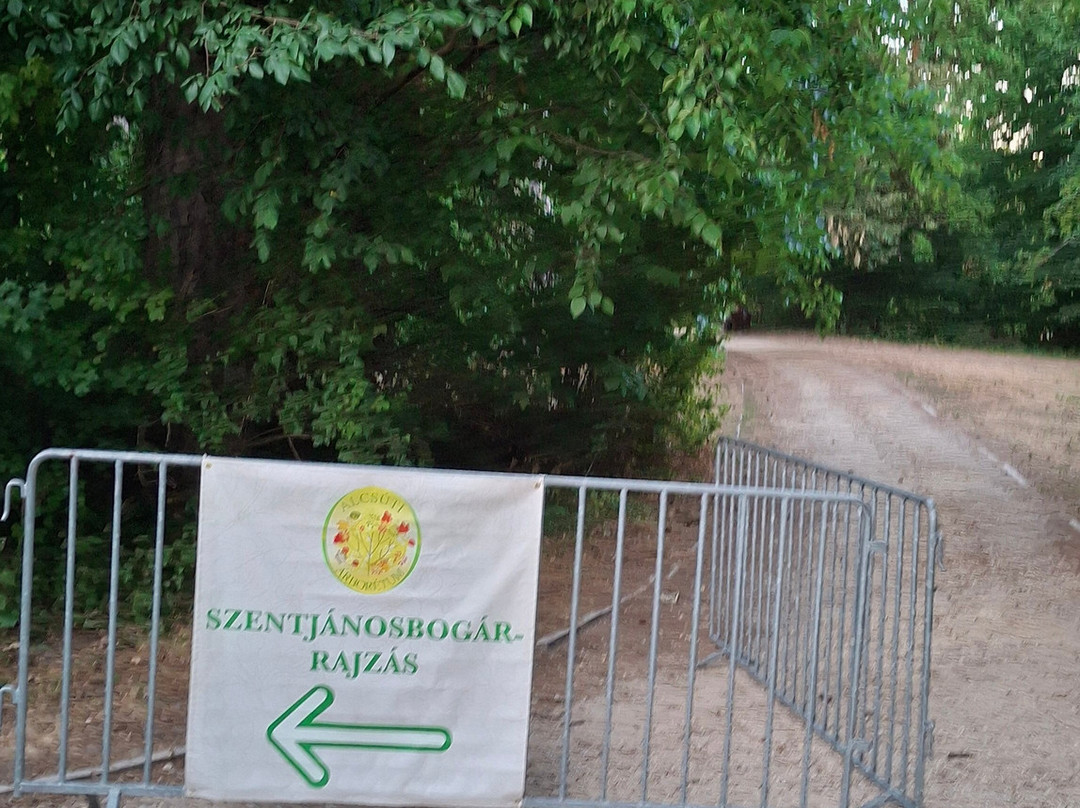 Alcsut Arboretum-Alcsutdoboz必去景点