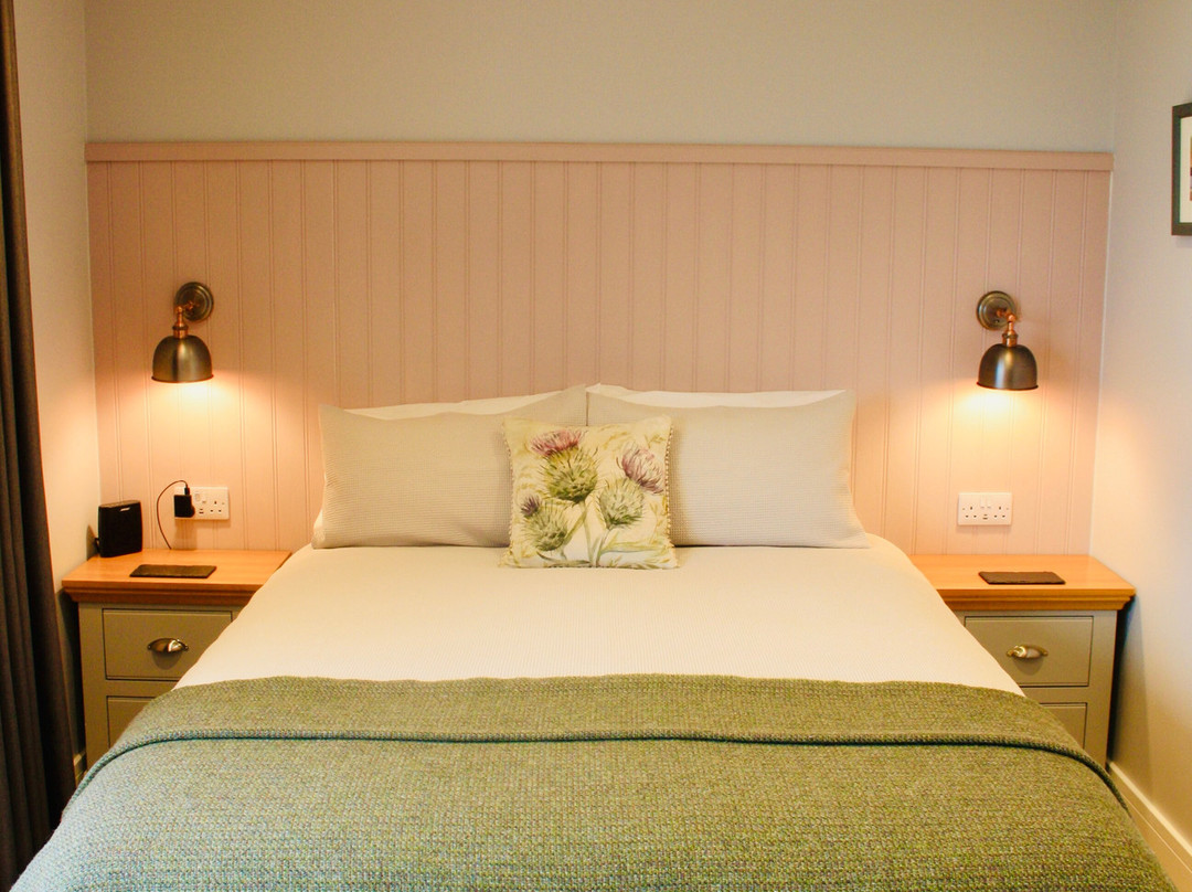 Thistles On Skye主图